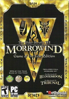 Постер The Elder Scrolls Travels: Dawnstar (Java)
